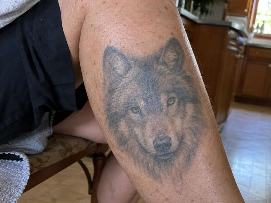 Realistic wolf tattoo around fifteen years old softened on an older woman's calf