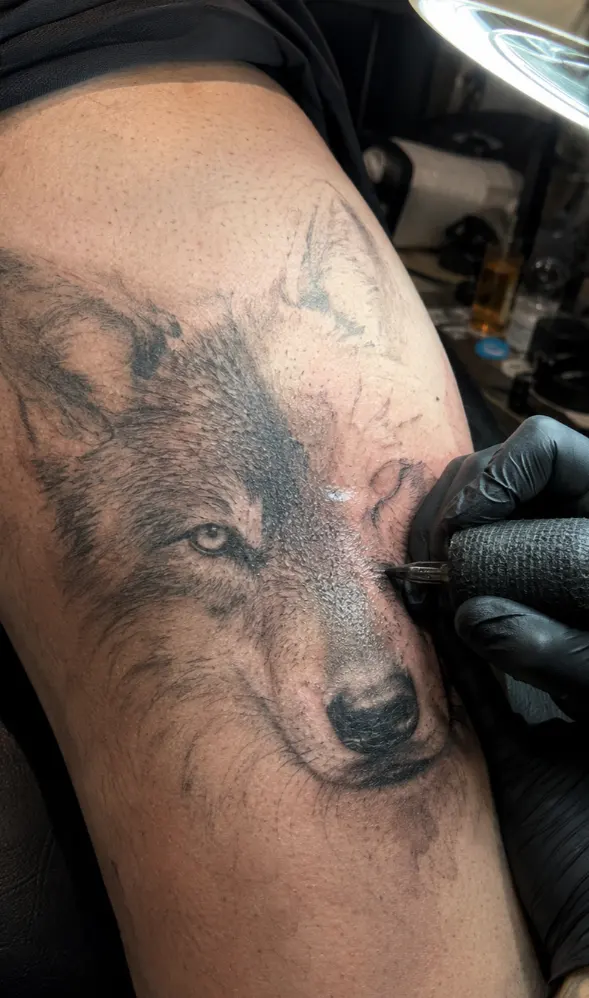 Tattoo artist shading a realistic wolf tattoo on a client's thigh