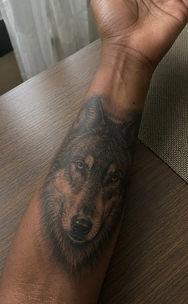 A realistic wolf tattoo on the inner forearm, facing the wearer. The flat inner surface suits the detail, but realism here pays a lifelong sun tax.